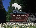 Golden Ears